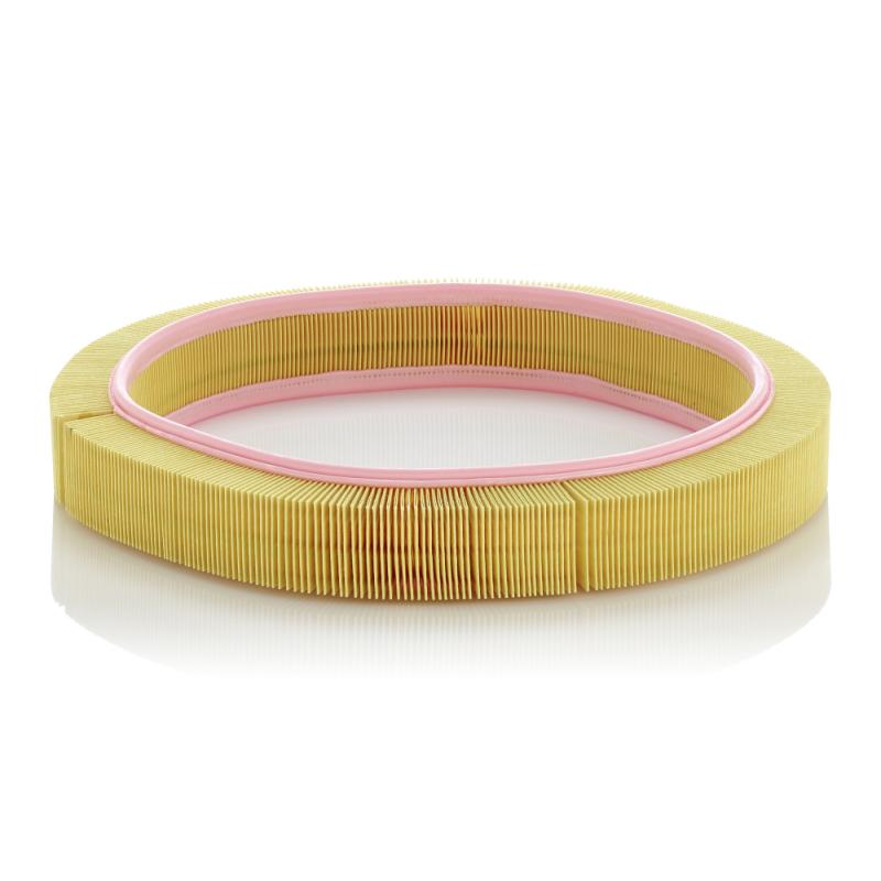 Filtre à air MANN-FILTER C 41 121 - Visuel 1