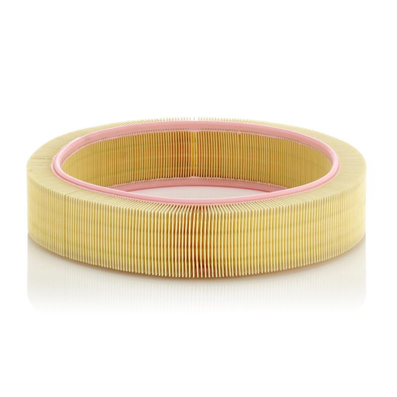 Filtre à air MANN-FILTER C 41 173 - Visuel 1