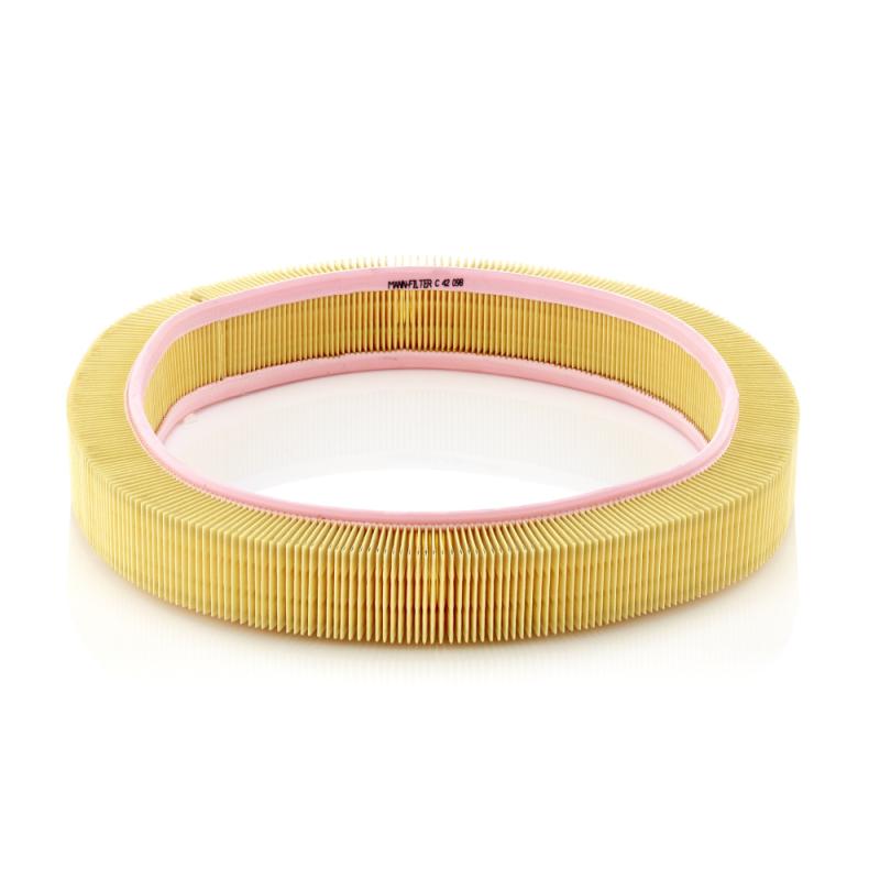 Filtre à air MANN-FILTER C 42 098 - Visuel 2