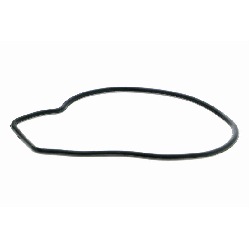 Pompe à eau ACKOJA A26-50005 - Visuel 1