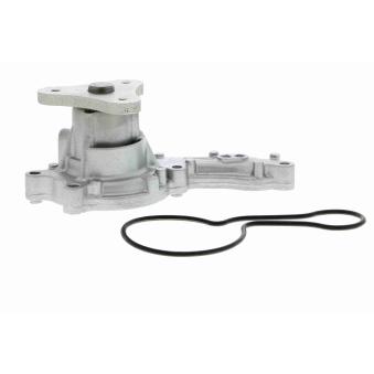 Pompe à eau ACKOJA A26-50008