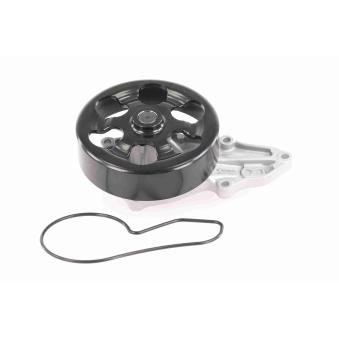 Pompe à eau ACKOJA A26-50016