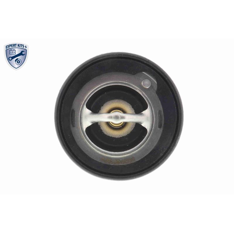 Thermostat d'eau ACKOJA A26-99-0001 - Visuel 1