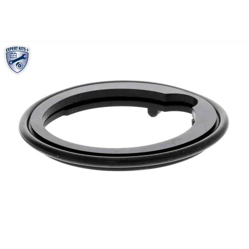 Thermostat d'eau ACKOJA A26-99-0007 - Visuel 2