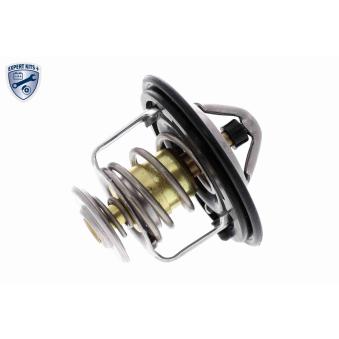 Thermostat d'eau ACKOJA A26-99-0010