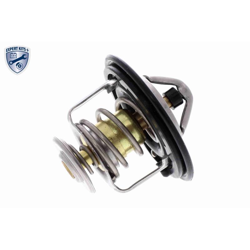 Thermostat d'eau ACKOJA A26-99-0010 - Visuel 1