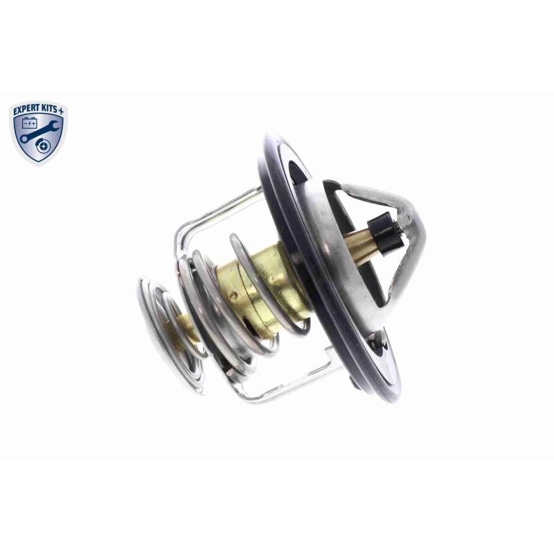 Thermostat d'eau ACKOJA A26-99-0010 - Visuel 2