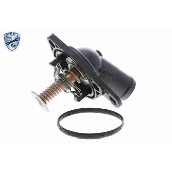 Thermostat d'eau ACKOJA A26-99-0012