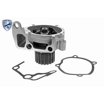 Pompe à eau ACKOJA A32-50008