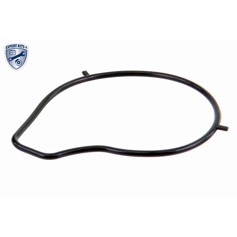 Pompe à eau ACKOJA A32-50011 - Visuel 1