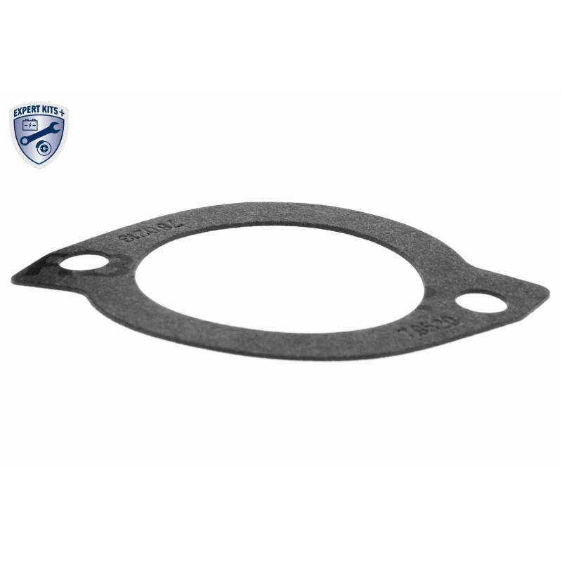 Thermostat d'eau ACKOJA A32-99-0004 - Visuel 2