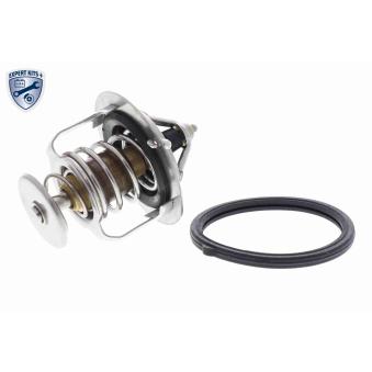 Thermostat d'eau ACKOJA A32-99-1705
