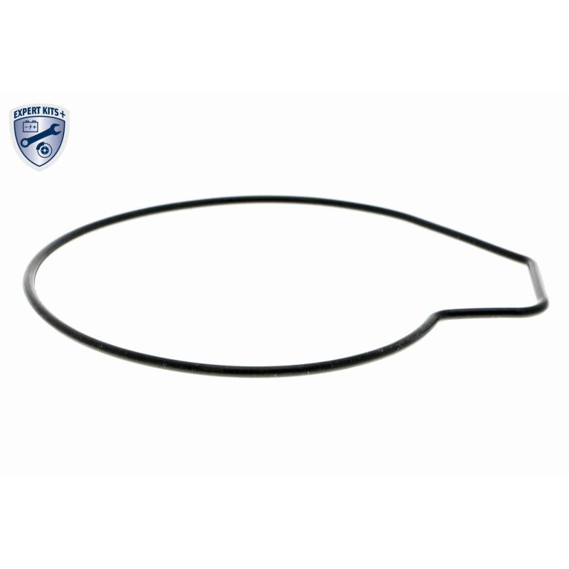 Pompe à eau ACKOJA A37-50002 - Visuel 1