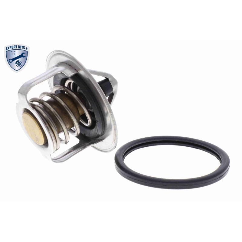 Thermostat d'eau ACKOJA A37-99-0006 - Visuel 1