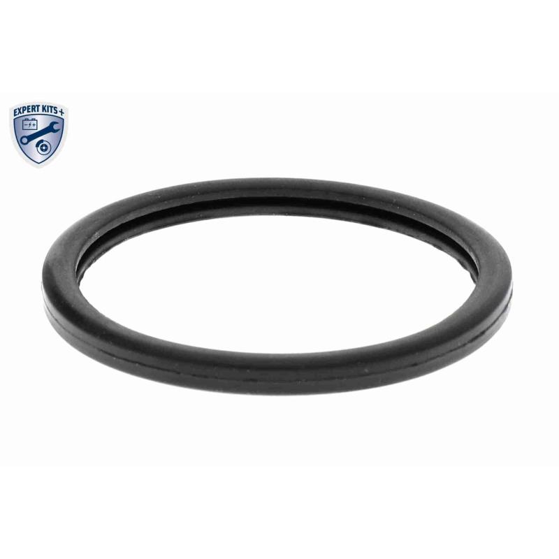 Thermostat d'eau ACKOJA A37-99-0006 - Visuel 2