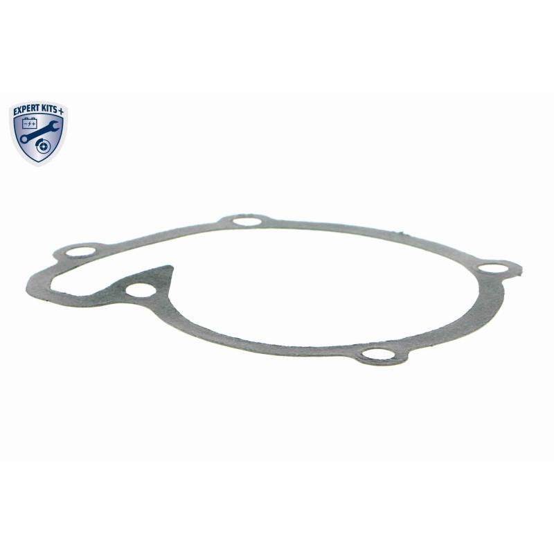 Pompe à eau ACKOJA A38-50002 - Visuel 1