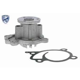 Pompe à eau ACKOJA OEM B1010ED00A