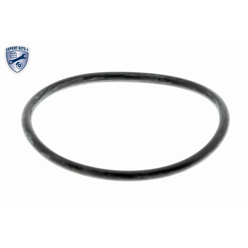 Pompe à eau ACKOJA A38-50010 - Visuel 1