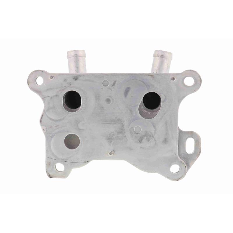 Radiateur d'huile ACKOJA A38-60-0004 - Visuel 2