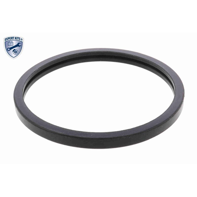 Thermostat d'eau ACKOJA A38-99-0002 - Visuel 1