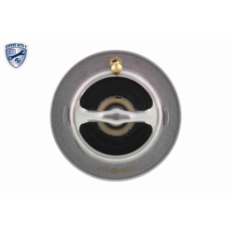 Thermostat d'eau ACKOJA A38-99-0002 - Visuel 2