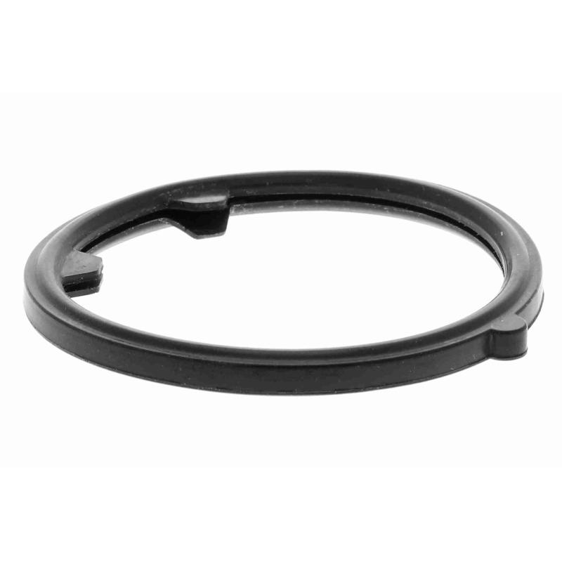 Thermostat d'eau ACKOJA A38-99-0005 - Visuel 2