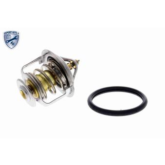 Thermostat d'eau ACKOJA A38-99-0006