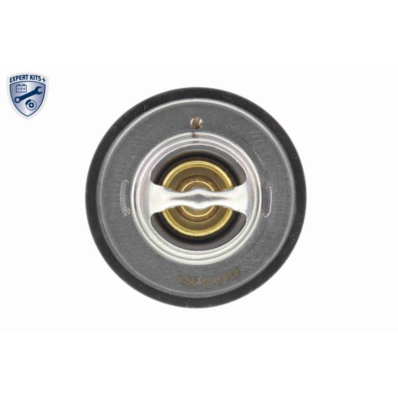 Thermostat d'eau ACKOJA A38-99-0008 - Visuel 1