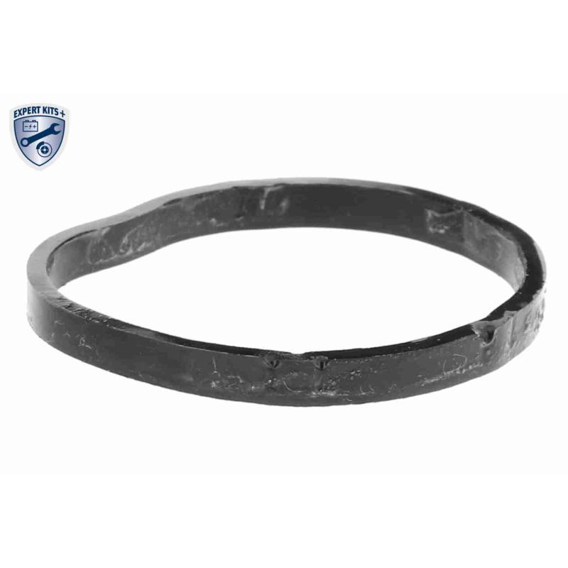 Thermostat d'eau ACKOJA A38-99-0012 - Visuel 2