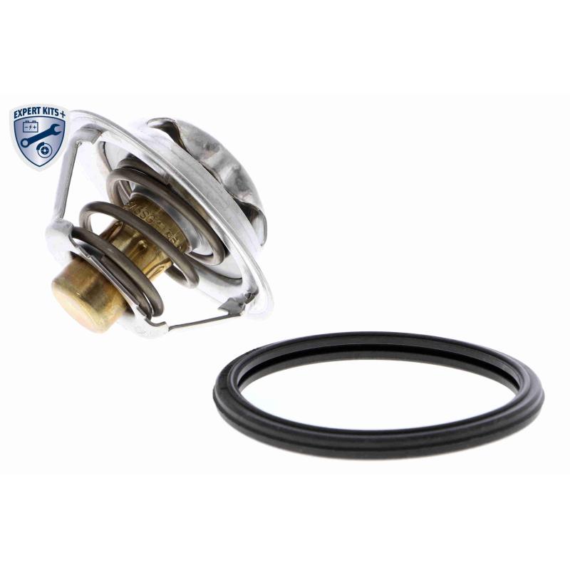 Thermostat d'eau ACKOJA A38-99-0015 - Visuel 1