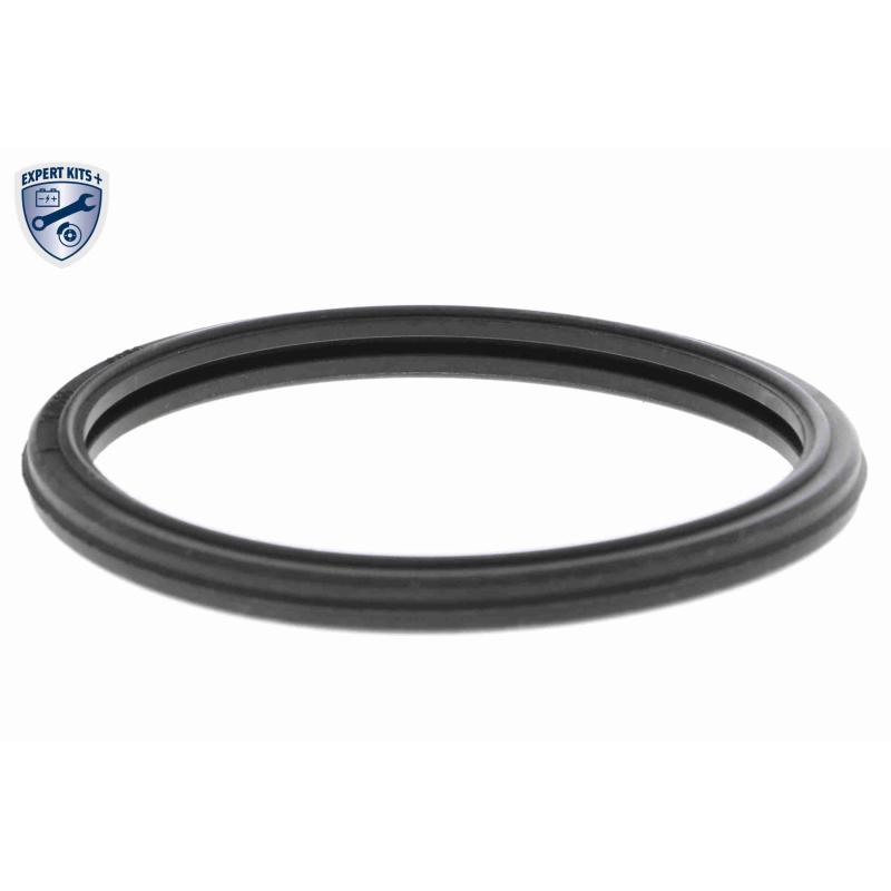 Thermostat d'eau ACKOJA A38-99-0015 - Visuel 2