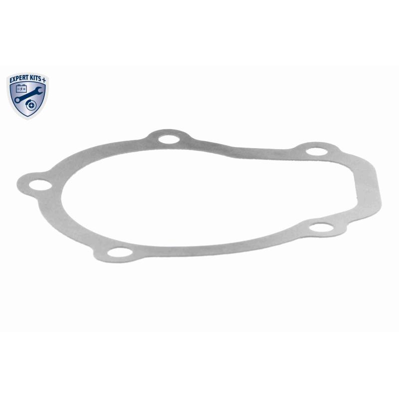 Pompe à eau ACKOJA A51-0700 - Visuel 2