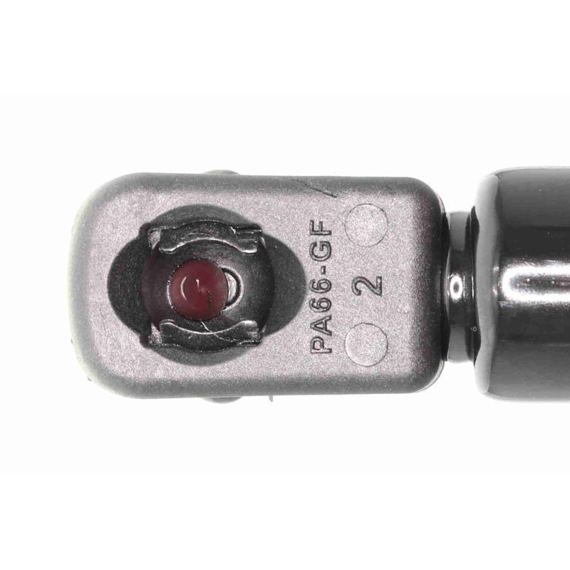 Vérin de hayon, de coffre ACKOJA A52-0113 - Visuel 2