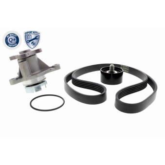 Jeu de courroies trapézoïdales à nervures ACKOJA OEM 2510003011 Jeu de courroies trapézoïdales à nervures ACKOJA OEM 2510003011