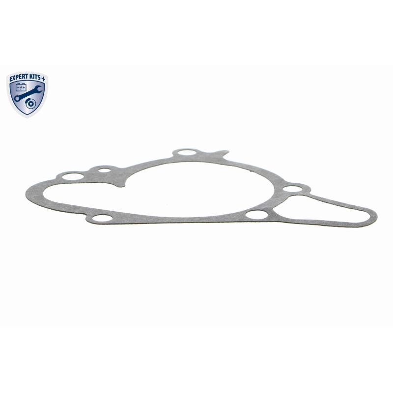 Pompe à eau ACKOJA A52-0700 - Visuel 2