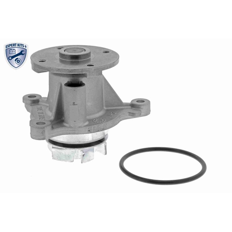 Pompe à eau ACKOJA A52-0708 - Visuel 1