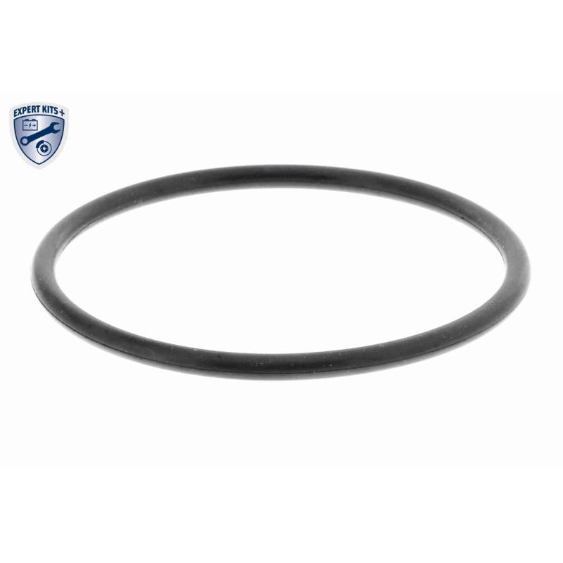 Pompe à eau ACKOJA A52-0708 - Visuel 2