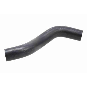 Durite de radiateur ACKOJA [A52-0876]