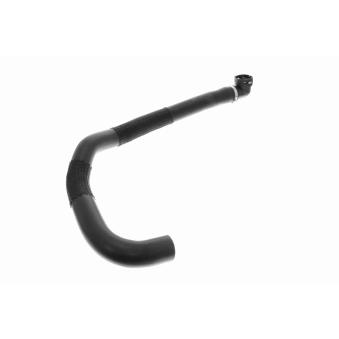 Durite de radiateur ACKOJA A52-1604