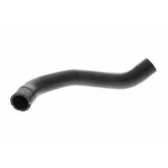 Durite de radiateur ACKOJA A52-1609