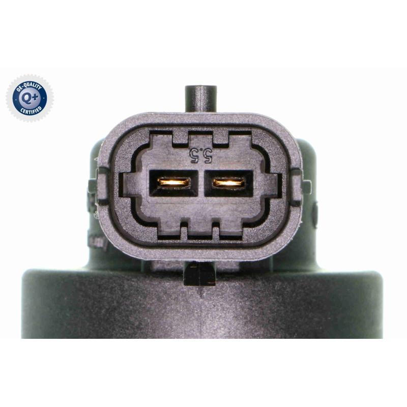 Pompe à haute pression ACKOJA A52-25-0002 - Visuel 2