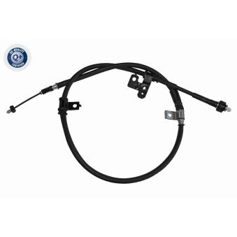 Tirette à câble, frein de stationnement arrière gauche ACKOJA [A52-30016]