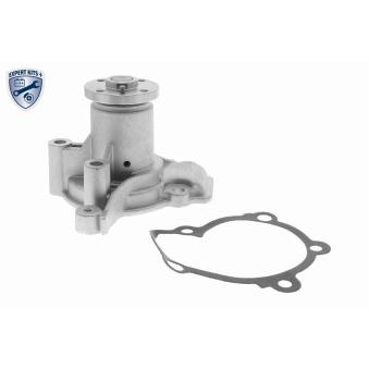 Pompe à eau ACKOJA A52-50001