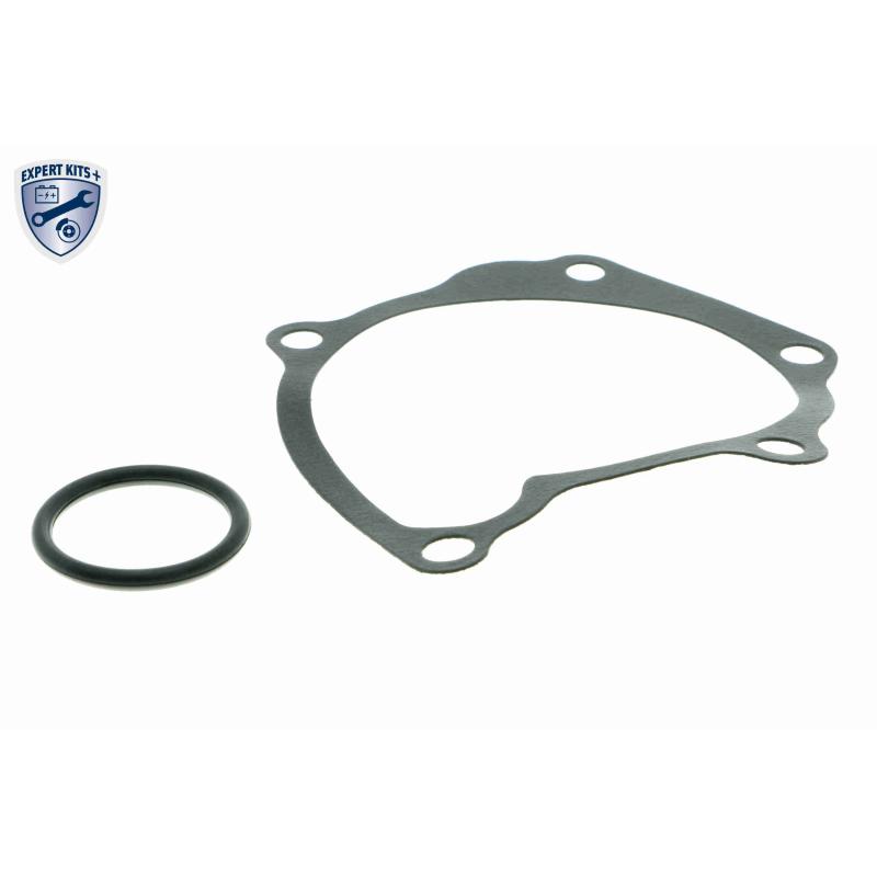 Pompe à eau ACKOJA A52-50004 - Visuel 1