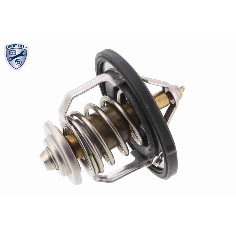 Thermostat d'eau ACKOJA A52-99-0004 - Visuel 1