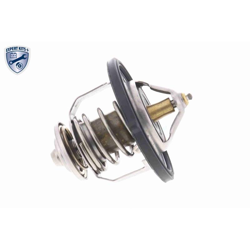 Thermostat d'eau ACKOJA A52-99-0004 - Visuel 2