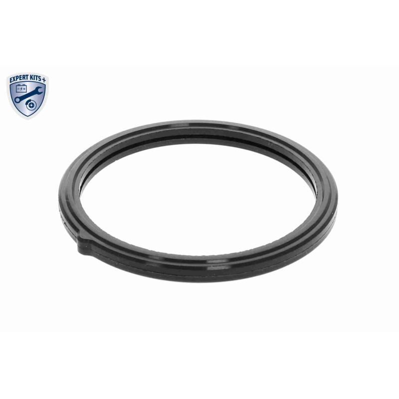 Thermostat d'eau ACKOJA A52-99-0010 - Visuel 1