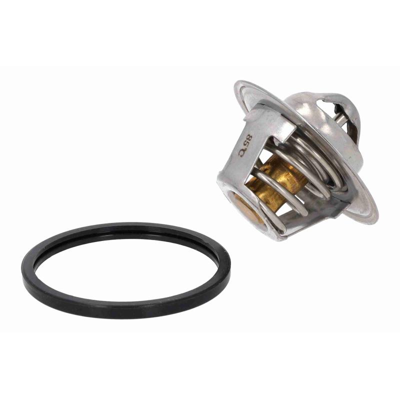 Thermostat d'eau ACKOJA A52-99-0011 - Visuel 2