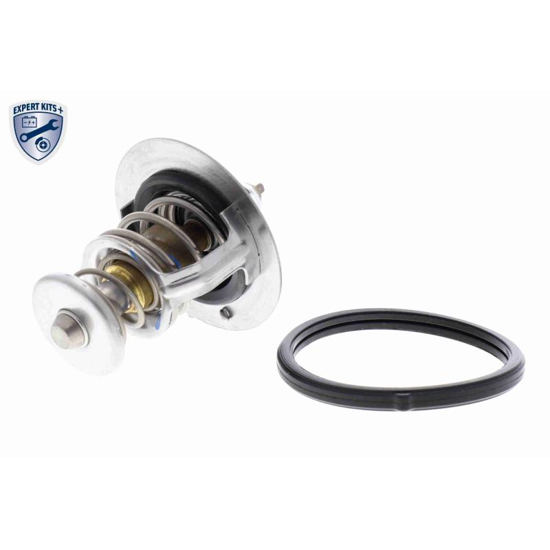 Thermostat d'eau ACKOJA A52-99-0019 - Visuel 1