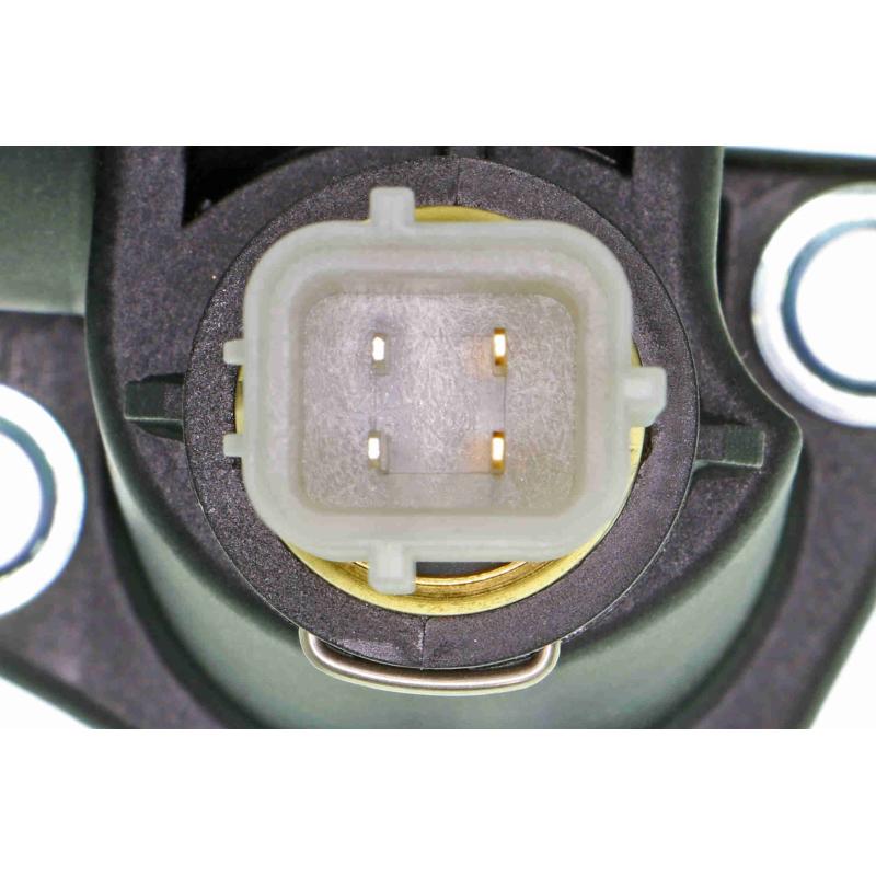 Thermostat d'eau ACKOJA A52-99-0021 - Visuel 1